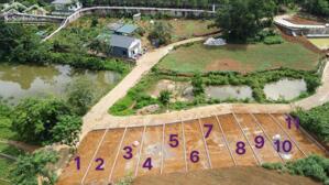 SIÊU PHẨM VIEW AO HOA SÚNG – TRUNG TÂM NGHỈ DƯỠNG DẺ CAU, THANH SƠN, LƯƠNG SƠN, HÒA BÌNH