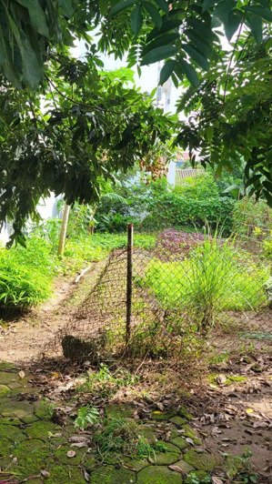 duy nhất 1 lô đẹp x2 tráng việt