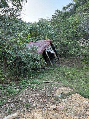 bán đất tại đường tỉnh lộ 721, 900 triệu, 60000 m2, pháp lý đầy đủ