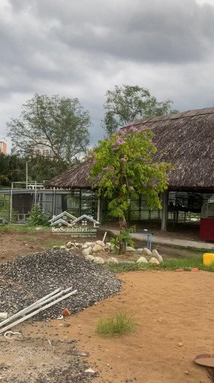 bán 3128m đất , hẻm 366 phạm hữu lầu nhà bè. đã sang lắp làm nhà vườn hoàn thiện , có bến đậu cano