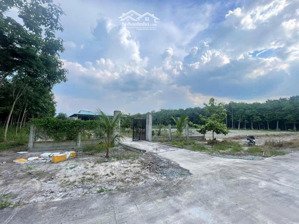 sang lại nhà cấp 4 dt 5x50=250m2 thổ cư có sẵn vườn gần sát chợ an thái phú giáo bd giá 430 triệu