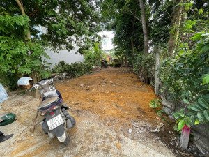 cần bán đất ở dương sơn hoà châu cu- hìa xuân mới 