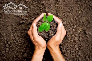 Cho Thuê đất X9 Cán Khê, Nguyên Khê, Đông Anh mặt đường quy hoạch 40m