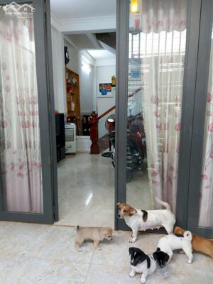 Bán gấp nhà hẻm Đồng Nai-Nha Trang, ra Tố Hữu vài bước chân. 51m2 nở hậu