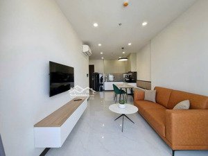 cho thuê căn hộ chung cư csky view chánh nghĩa 2pn-2wc nội thất cao cấp