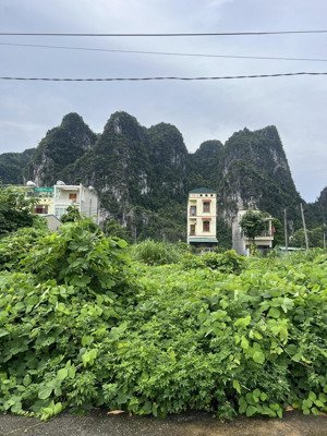 bán đất lữ đoàn 170 quay đường bao biển hạ long cẩm phả