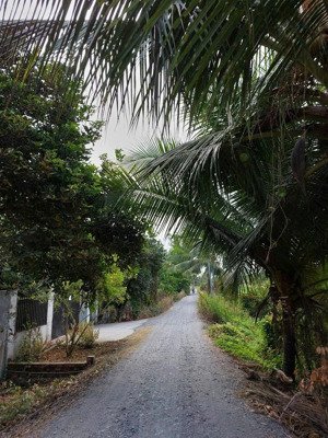 cần tiền bán nhà mặt đường 5m vĩnh phú sổ hồng dt:100m2 ngang 5m dài 20m giá 3tỷ lh: vy