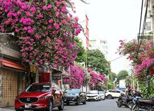 chính chủ bán nhà mặt tiền trần hưng đao, tân phú. dt 5 x 20m. kc 4 tầng st, hđt 35tr, giá 15 tỷ tl