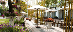 tháng 9 cho thuê nhà phố ecopark kinh doanh & ở giá tốt cam kết không chênh lệch, lh: 