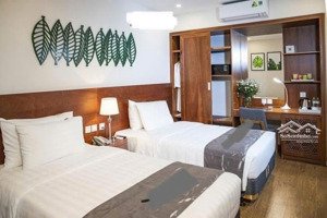 khách sạn 9t trần thái tông-phân lô-ô tô tải tránh-31 phòng nt cực đẹp - dt hơn 300tr/tháng