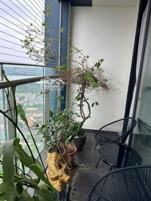 cho thuê căn hộ 2pn, 2wc, 86m2, 16,5 triệu, tại sunshine city - ciputra hà nội