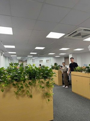 bán buiding vp 9 tầng phân lô nguyễn hoàng-lô góc 2 mặt tiền-ô tô tránh dừng đỗ-vỉa hè-dt 250tr/th