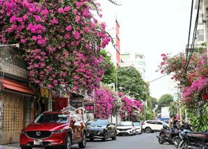 bán nhà mt văn cao góc lê niệm. dt 4x18m (nở hậu 9m) 2 tầng st. tặng full nội thất cao cấp. 13,5 tỷ