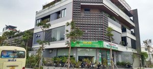 bán đất khu đô thị cổ dương, tiên dương, đông anh, dt 198m², mt 11m, vỉa hè, giá đầu tư!!!