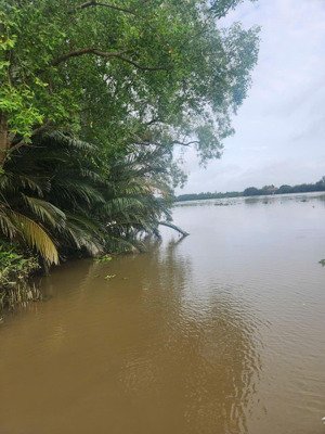 bán đất nông nghiệp ven sông vàm cỏ