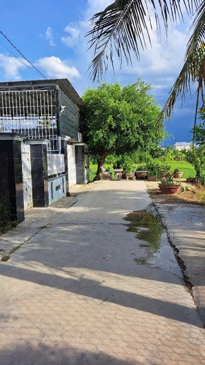 cần bán đất thôn bình thành xã tân định ninh hoà khánh hoà