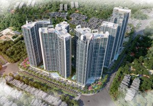 dự án hoàng huy commerce tòa rose residence. đang có chương trình tặng sh 125i