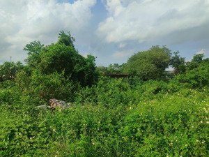 bán đất tại yên thắng, yên mô, ninh bình, 14 tỷ, 1400 m2, chính chủ uy tín