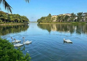 chính chủ cho thuê biệt thự giá rẻ chỉ 17tr/tháng tại vinhomes thăng long