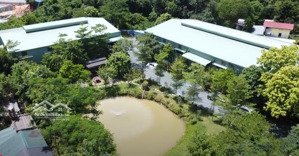 bán đất và 2 nhà xưởng, đầy đủ các tiện ích văn phòng, showroom, nhà ở cbcnv, cảnh quan hạ tầng đẹp