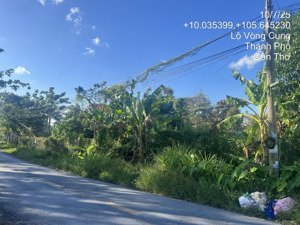 phát mãi lô 1511m2 mặt tiền lộ vòng cung, tân thới, phong điền, cần thơ giá chỉ 3.162 tỷ đồng