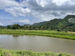 đất hòa bắc rộng gần 1000m2- xây nhà vườn, homestay