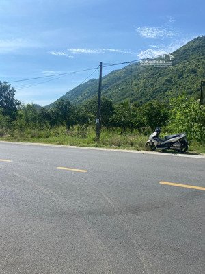 bán đất mặt tiền đường tl3 ngang 20m, 968,1m2 giá 6.5 tỷ đường 12,5m qh mở rộng 42m nha trang