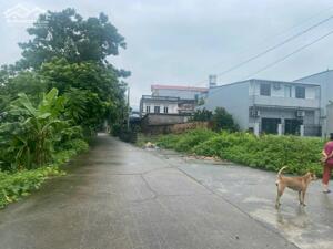 Bán đất đấu giá Lương Quy Xuân Nộn Đông Anh