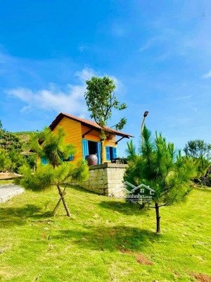 nhà nghỉ dưỡng view đồi bát úp - phạm hồng thái - đại lào - 1549m2 mặt đường lớn chỉ 2.4t