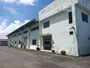 cho thuê kho xưởng may mặt tiền quốc lộ 55 long điền