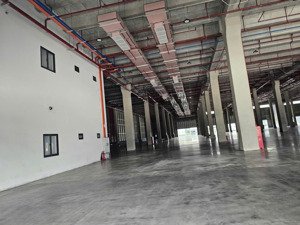 cho thuê kho xưởng sản xuất lớn tại long hậu, có pccc tự động, giá tốt, trích 2 tháng tiền thuê/năm