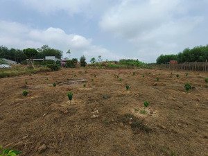 bán miếng đất vườn hơn 2300 m2 - chính chủ gửi chỉ 300 triệu, giá cực tốt