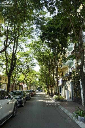 Bán nhà diện tích 56m2 x 6 tầng có thang máy phố Đào Tấn, ngõ ô tô tránh nhau