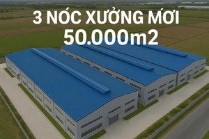 cho thuê kho xưởng kcn tân phú trung, củ chi, pccc tự động, có dock cont, nhiều cửa xuất nhập