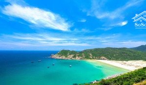 siêu phẩm đất rừng sản xuất 7,8ha, ngang 40m, mt ql 1 tại đại lãnh, vạn ninh giá 159 tỷ