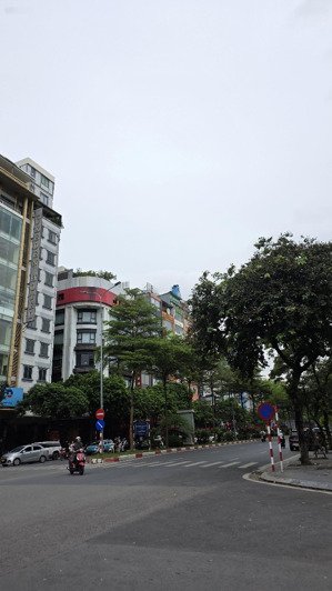 cho thuê nhà mặt phố trần thái tông 100m2 x 8 tầng vị trí đắc địa bật nhất cầu giấy 150 triệu