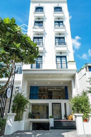 ngay chợ tân định! bán tòa chdv mt hai bà trưng, q.1, 5.5x20m hầm + 7t - hđt: 150tr/th, giá 39 tỷ