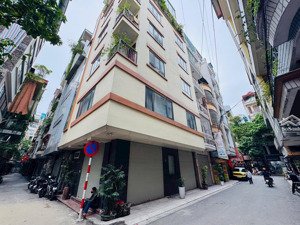 bán nhà riêng phố hoàng cầu, quận đống đa, hà nội, 7 tầng, lô góc, kinh doanh.