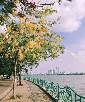 bán nhà mặt phố vệ hồ, 85m, mặt tiền quyền lực 2 thoáng, giá chỉ 65 tỷ, rẻ nhất khu.