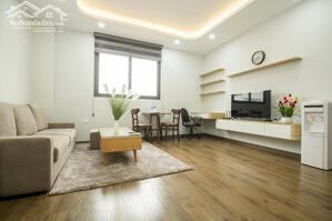 Cho thuê căn hộ 1PN rộng 60m2 tại Đào Tấn, Ba Đình, đầy đủ nội thất đẹp, hiện đại