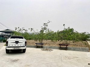 bán đất tỉnh phú thọ. 1315m2. gia đình kẹt tiền, bán rẻ hơn thị trường nhận cọc ngay trong 3 ngày