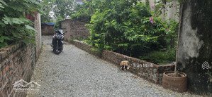 đất thổ cư tại xã cổ loa, đông anh, hà nội, 2,65 tỷ, 34m2, giá ưu đãi!