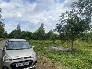 chủ kẹt tiền bán đất tại đường 328, xuyên mộc, bà rịa vũng tàu, 3,5 tỷ, 8000 m2