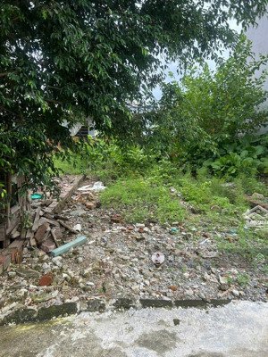 bán lô đất đẹp 70,5m2 tại bãi cát dương quan thủy nguyên hải phòng