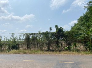 siêu phẩm 50hec đất mt bao quanh chỉ 500k/m2