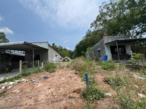 đất tp. hcm - ngay trung tâm xã tân hiệp 200 m2 (100m2 thổ) bao sổ 550 tr, cách dh507 đúng 100m