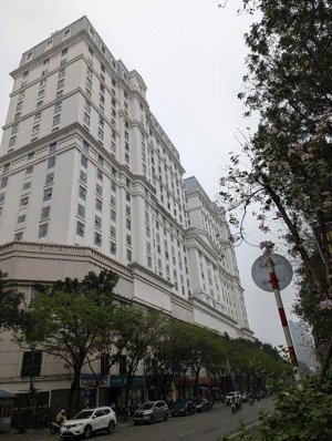 chính chủ cho thuê sàn văn phòng tòa d2 giảng võ ba đìnhcác diện tích 15-30-40-80-120m đủ nội thất