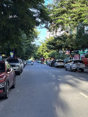 cần bán cặp đất đường 10m5 đinh công trứ, dt 190m2 ngang 10m