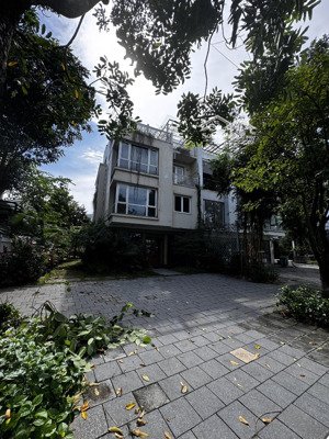 cho thuê biệt thự song lập thương mại kinh doanh khu mimosa ecopark ,240m2, giá thỏa thuận