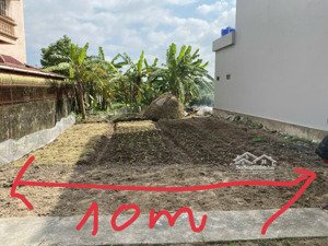 bán đất đẹp 304m² full thổ cư tại thôn thái cao, nam bình, thái bình. giá chỉ 1.35 tỷ